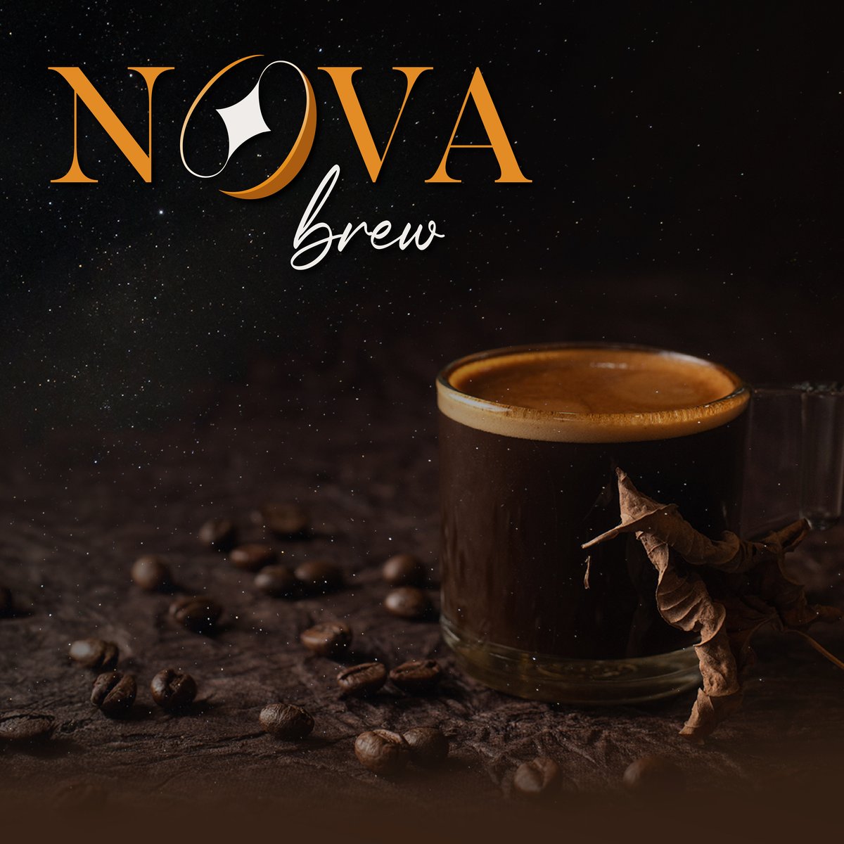 Nova Brew identity